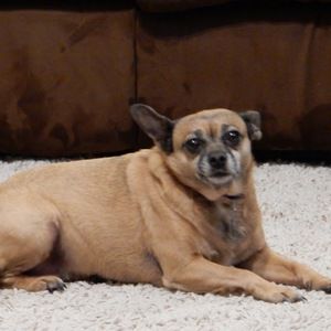 Meet your Posher, Sophia